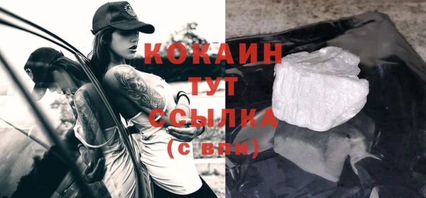 ПСИЛОЦИБИНОВЫЕ ГРИБЫ Няндома