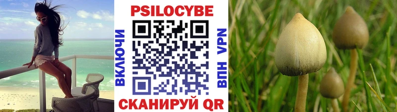 где купить наркоту  Лосино-Петровский  Галлюциногенные грибы Psilocybe 